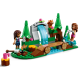 LEGO Friends "Лесной водопад" 41677